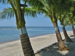 White Corals Beach Resort in Morong