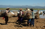 At One of the Markets (Inle Lake, 2005)