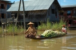 Boatload of Produce (Inle Lake, 2005)